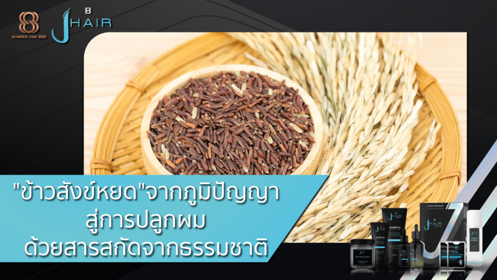 ข้าวสังฆ์หยด-ปลูกผม-Jhair serum